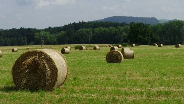 Na kole do Rakouska - okolo Litschau
