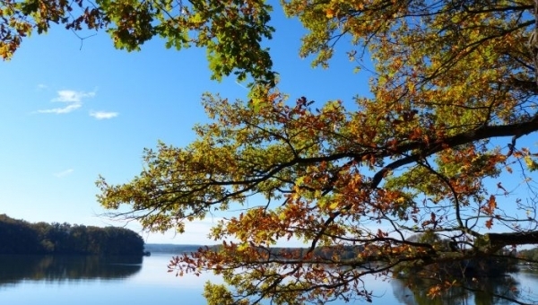 Cyklotrasa Krčínovo dědictví - 56 km