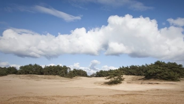 Naučná stezka Veselské pískovny